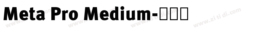 Meta Pro Medium字体转换